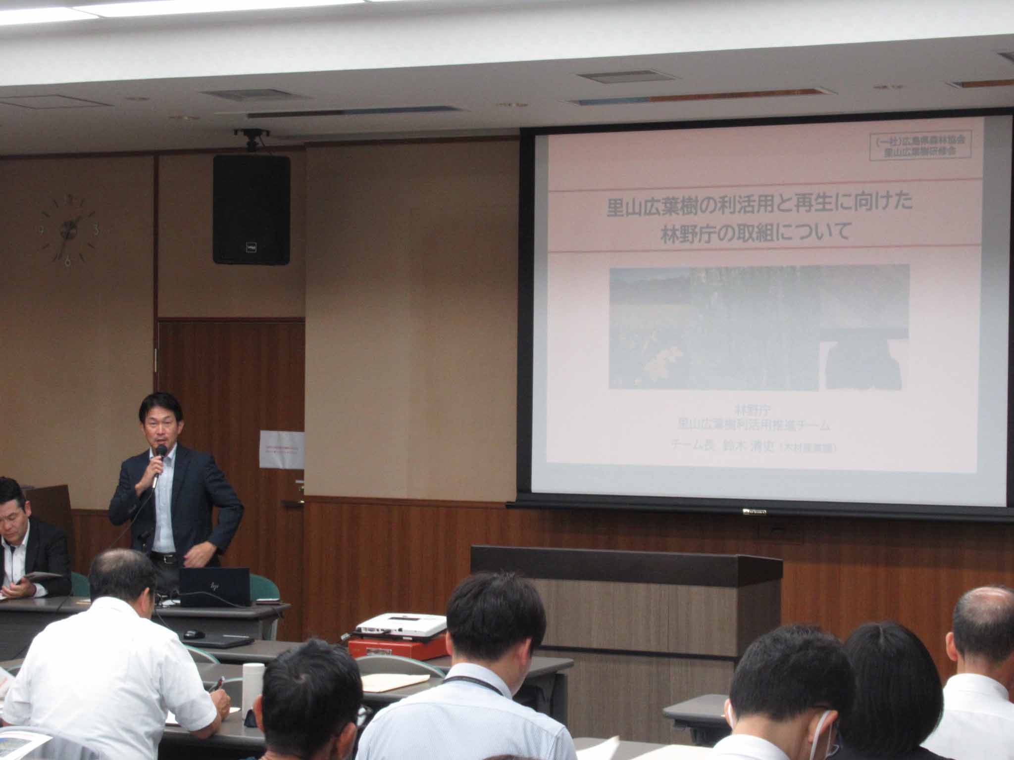 里山広葉樹の写真